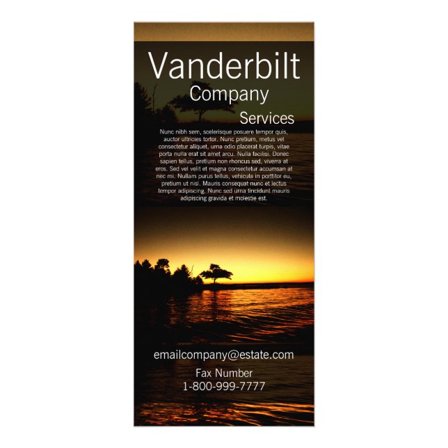 Destination Sunset Over the Water Tree Rack Card (Front)