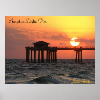 Destinin Florida Poster