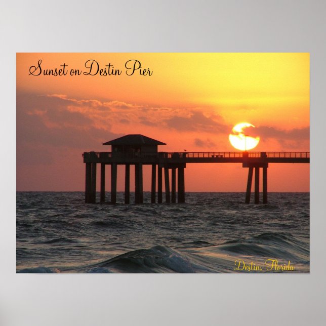 Destinin Florida Poster (Front)