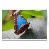 Destiny Gifts (Front Horizontal)