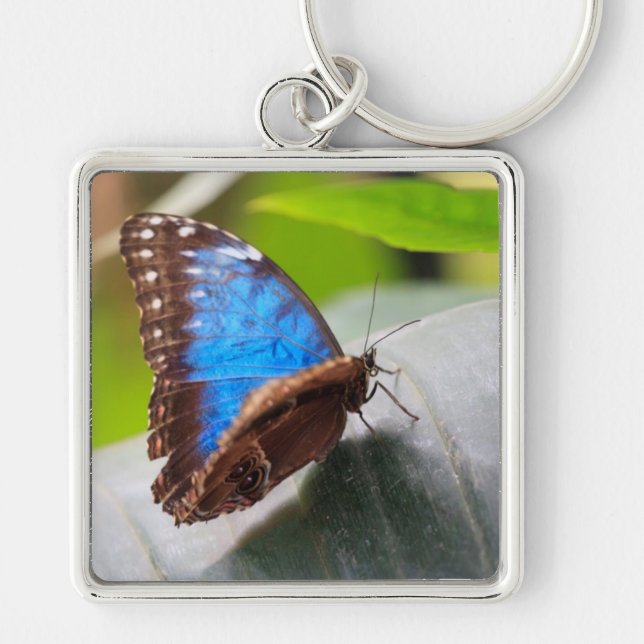 Destiny Gifts Keychain (Front)