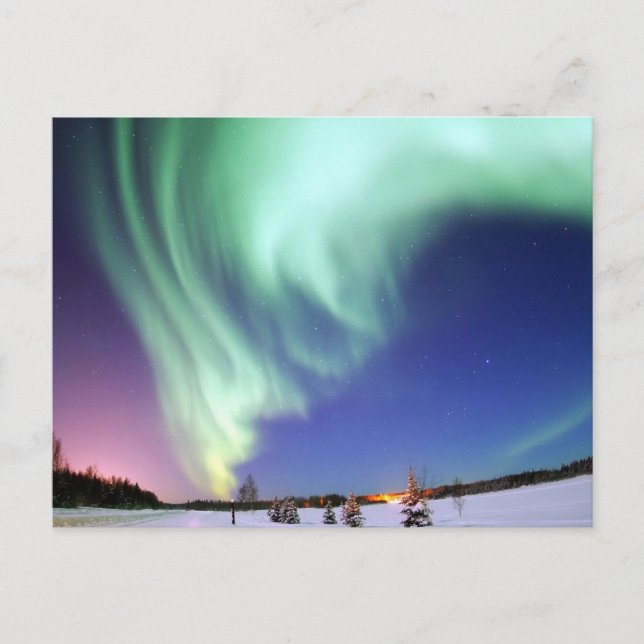 Destiny Gifts Postcard