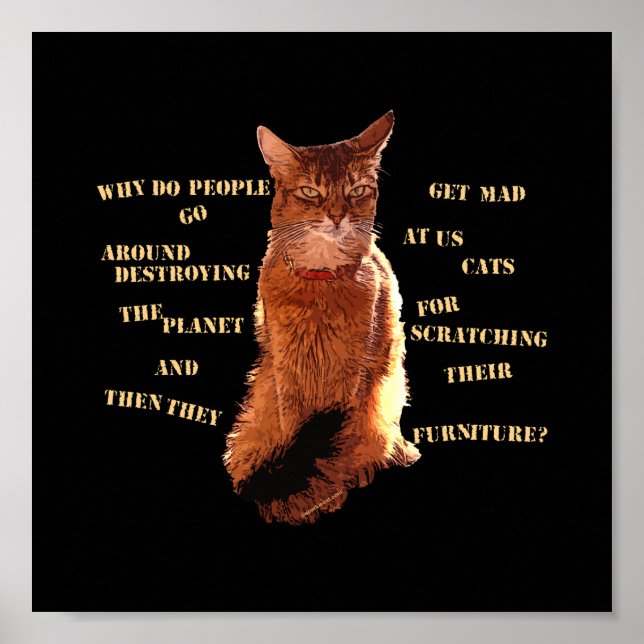 Destroy! Somali Cat Poster (Front)