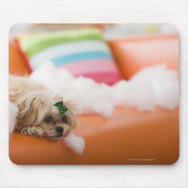 Destructive dog mouse pad (Front)