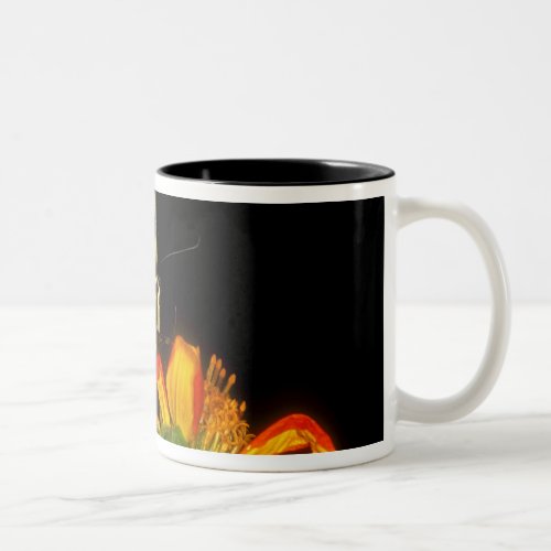 Detail of a captive western tiger swallowtail Two_Tone coffee mug