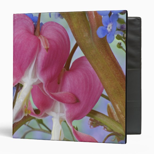 Detail of bleeding hearts and Brunnera Jack Binder (Front/Inside)