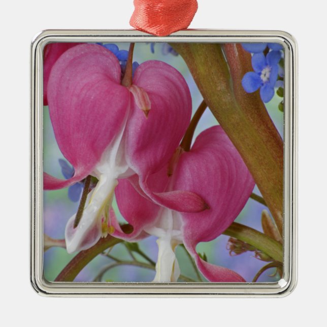 Detail of bleeding hearts and Brunnera Jack Metal Ornament (Front)