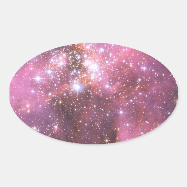 Detail of NGC 346 in Pink Oval Sticker (Front)