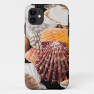 Detail Of Seashells From Around The World 2 iPhone 11 Case