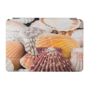 Detail Of Seashells From Around The World 2 iPad Mini Cover