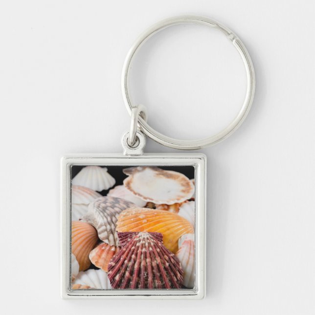 Detail Of Seashells From Around The World 2 Keychain (Front)