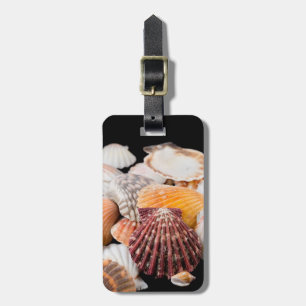 Detail Of Seashells From Around The World 2 Luggage Tag