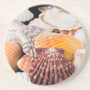 Detail Of Seashells From Around The World 2 Sandstone Coaster