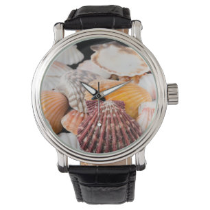 Detail Of Seashells From Around The World 2 Watch
