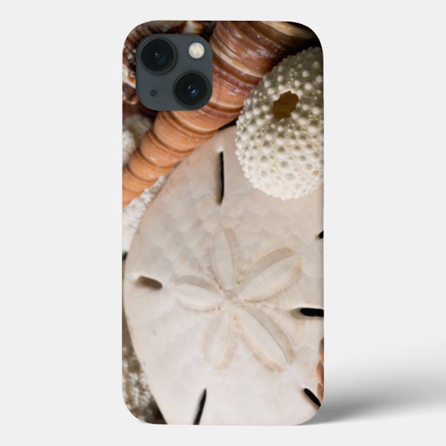 Detail Of Seashells From Around The World Case-Mate iPhone Case (Back)
