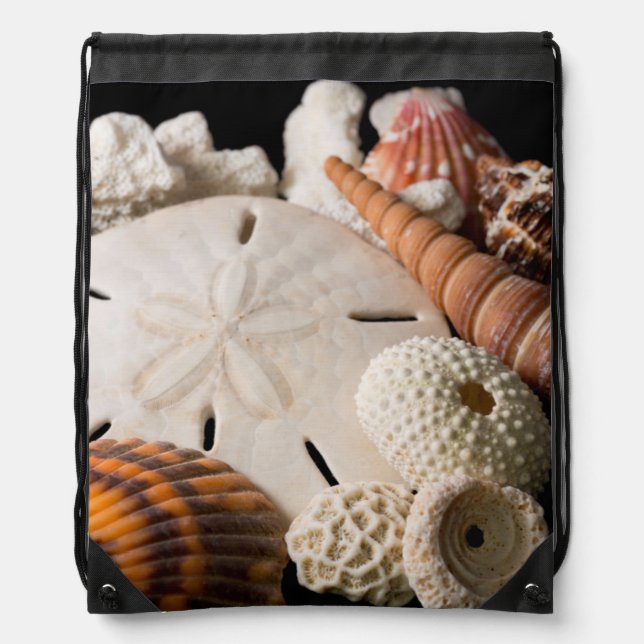 Detail Of Seashells From Around The World Drawstring Bag (Front)