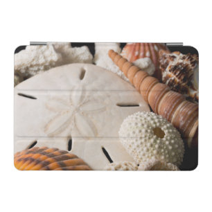 Detail Of Seashells From Around The World iPad Mini Cover