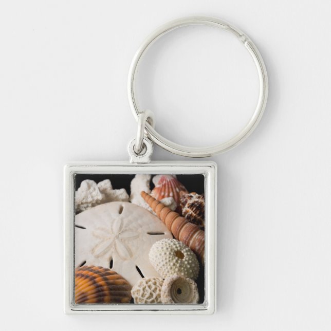 Detail Of Seashells From Around The World Keychain (Front)