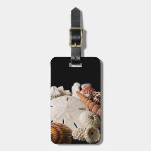 Detail Of Seashells From Around The World Luggage Tag