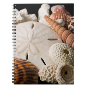 Detail Of Seashells From Around The World Notebook
