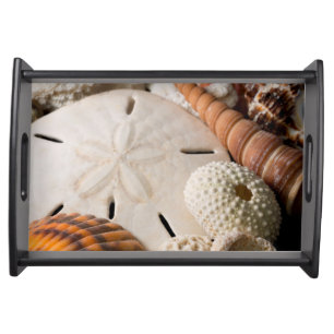 Detail Of Seashells From Around The World Serving Tray