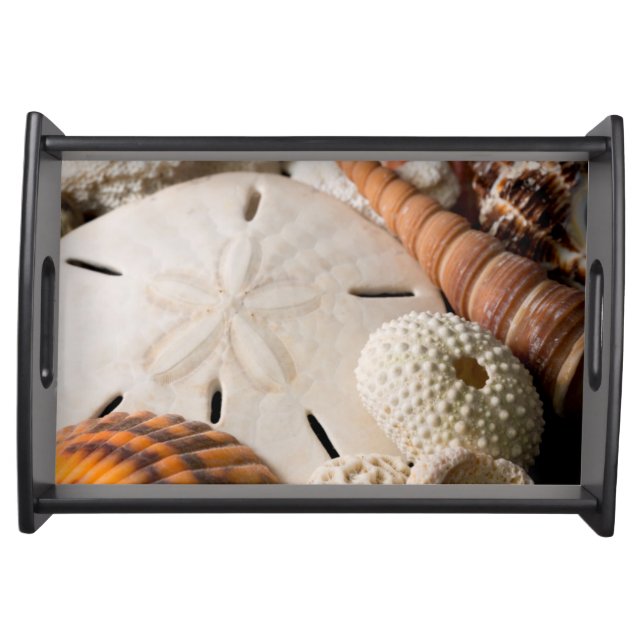 Detail Of Seashells From Around The World Serving Tray (Front)