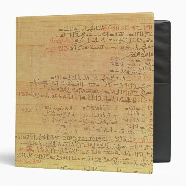 Detail of the Rhind Mathematical Papyrus 3 Ring Binder (Front/Inside)