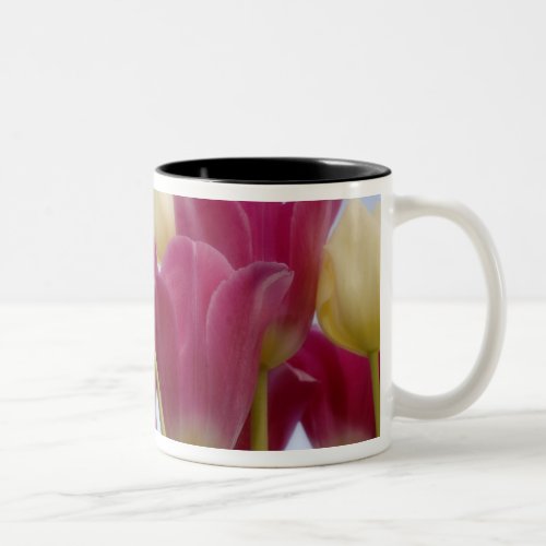 Detail of tulips Credit as Don Paulson  Two_Tone Coffee Mug