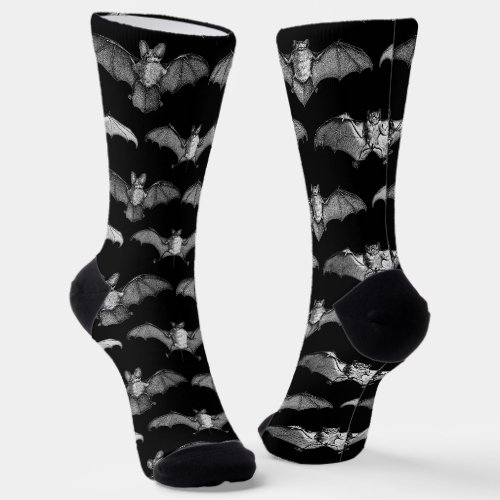 Detailed Bats Species Illustrations Black Pattern Socks
