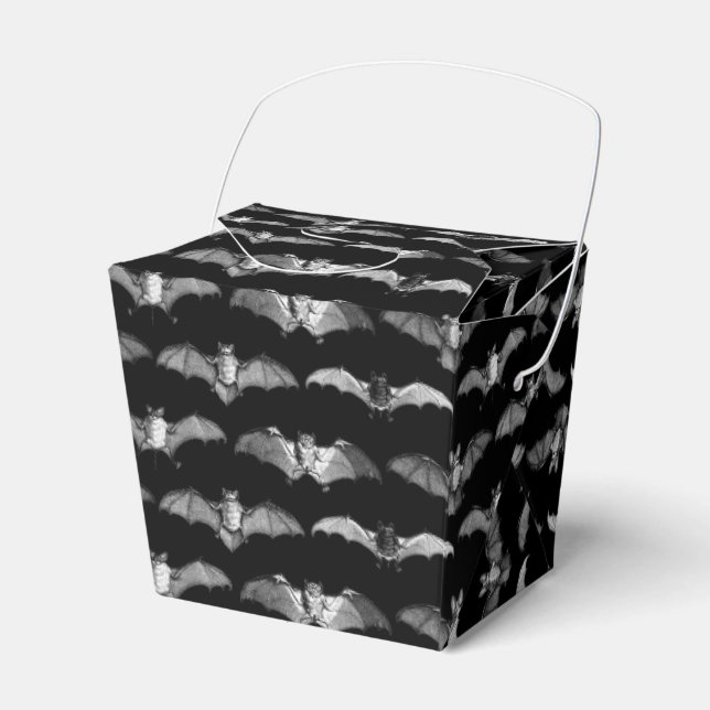 Detailed Bats Species Illustrations Pattern Black Favor Boxes (Front Side)