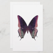 Detailed Butterfly Pink (Front/Back)