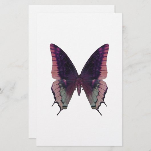 Detailed Butterfly Pink (Front/Back)