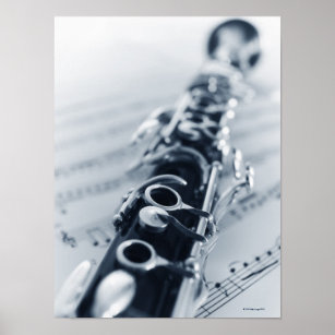 Musician Gift Clarinet Practice Reminder Poster Bass Clarinet Poster Music Practice Room Decor Clarinet Poster Clarinet Gift