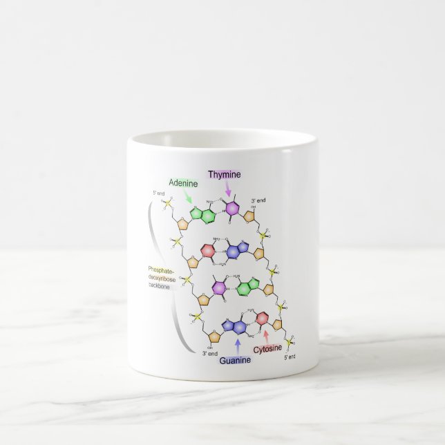 Detailed Diagram of the Chemical structure of DNA Coffee Mug (Center)