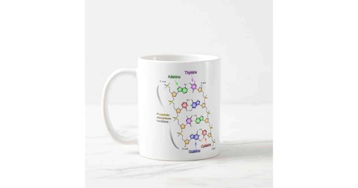 zazzle