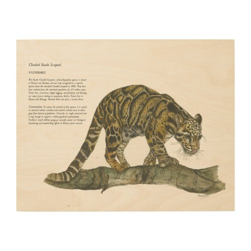 Detailed Endangered Clouded Leopard Art