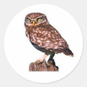 Detailed Great Horned Owl Decal - Wilderness Natu Classic Round Sticker