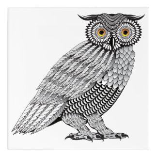 Detailed line art Owl illustration drawn in vector