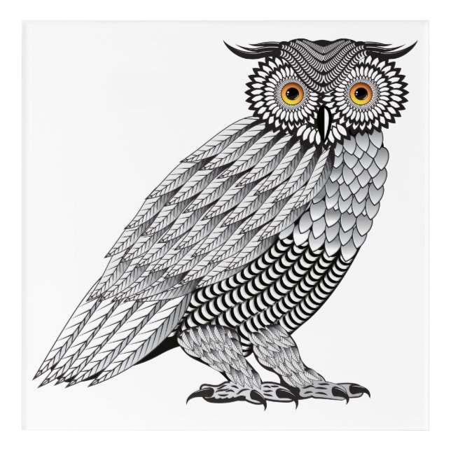 Detailed line art Owl illustration drawn in vector (Front)