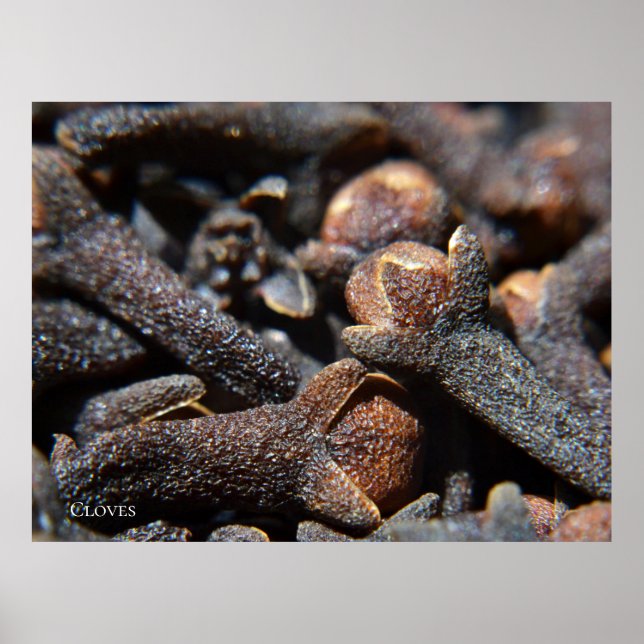 Detailed Macro View of Cloves Herb Poster (Front)