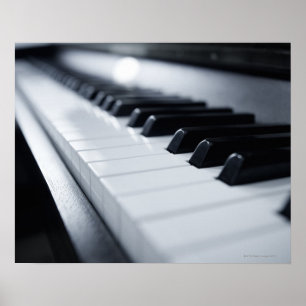 Detailed Piano Keys Poster