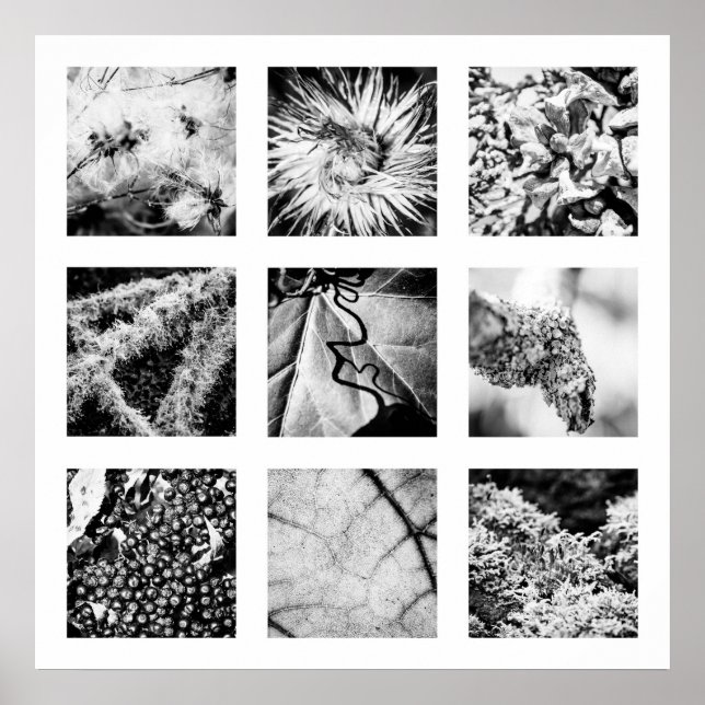 Details of Nature series - Details Poster (Front)