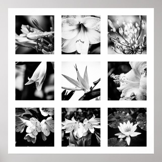 Details of Nature series - Flowers poster (Front)