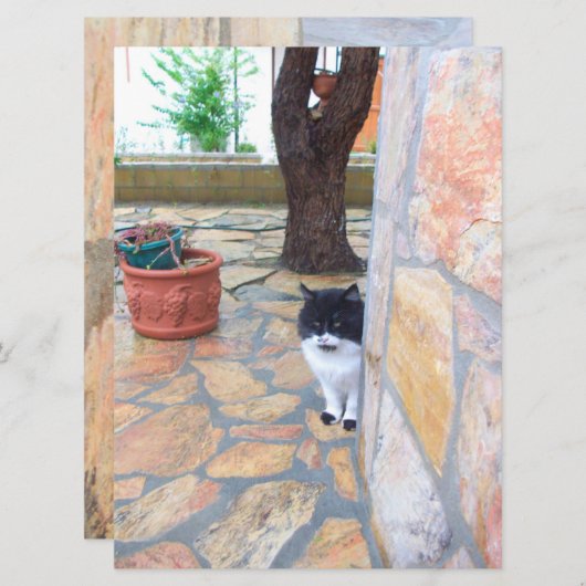 DETECTIVE CAT BEHIND THE STONE WALL (Front/Back)