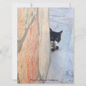 DETECTIVE CAT BEHIND THE STONE WALL (Back)