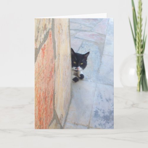 DETECTIVE CAT BEHIND THE STONE WALL CARD