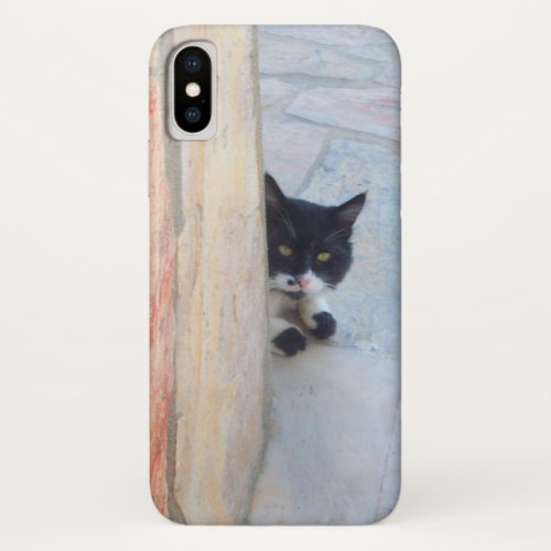 DETECTIVE CAT BEHIND THE STONE WALL iPhone X CASE