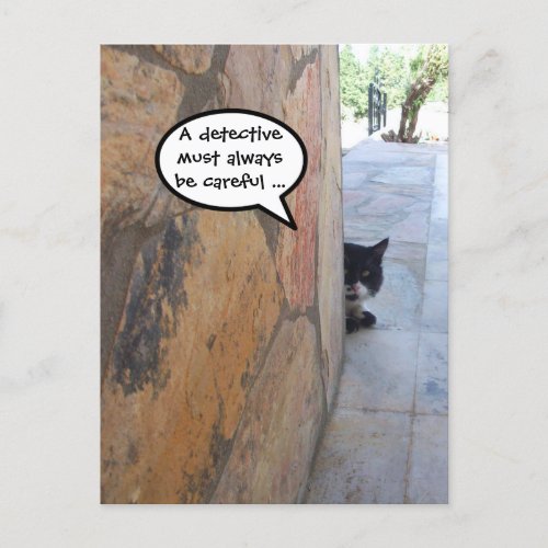 DETECTIVE CAT BEHIND THE STONE WALL  Fathers Day Postcard