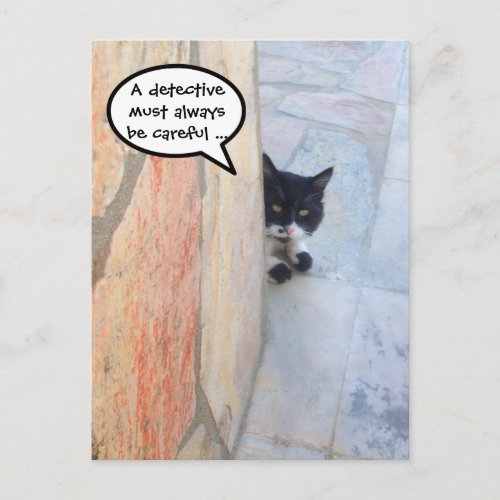 DETECTIVE CAT BEHIND THE STONE WALL  Fathers Day Postcard