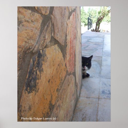 DETECTIVE CAT BEHIND THE STONE WALL  Fathers Day Poster